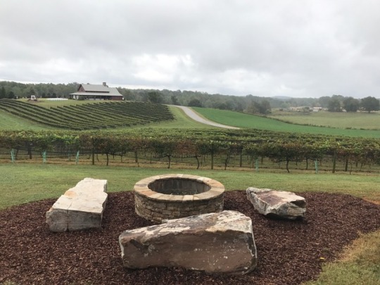 tumblr_oxl2c3FtSx1wcdumzo1_540